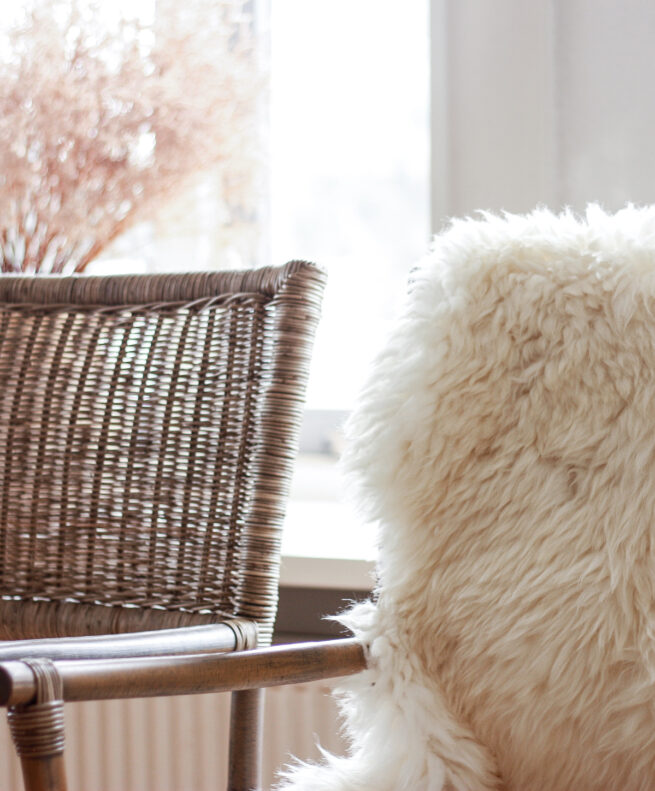 Verkoopstyling | Winkel & Buis